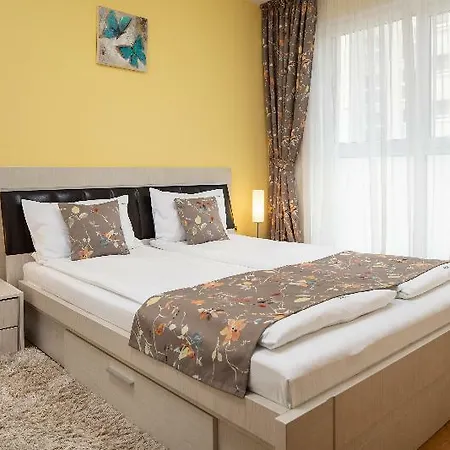 - Sah * Brasov